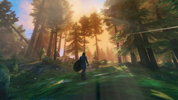 Valheim Gameserver Screenshot 1