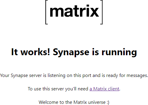 Matrix Synapse Screenshot 3